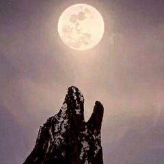 Ansar Dzhabrailov, 03.08, Birmingham