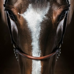 Алибек Мустафин, 19.09, Щучинск