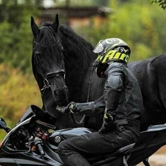 Amine Dado, 12.04.1987, Alger