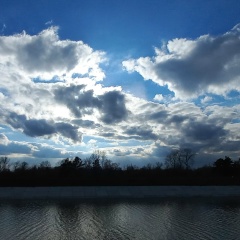 Елена Белова, 04.04.1988, Новосибирск