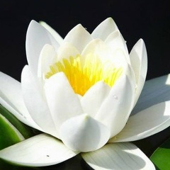 Татьяна Кузьменко, 12.07, Ставрополь