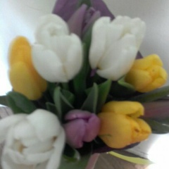 Тетяна Кук, 23.05, Львов