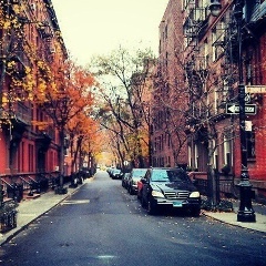 Михаил Дмитриев, 18.06.1984, Санкт-Петербург