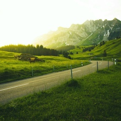 Marat Askarov, 07.09.1987, Шымкент