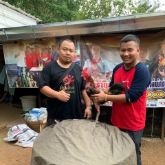 พยัคฆ์กาญ-ฟาร์ม โปรแบงค์, 24.11.1986