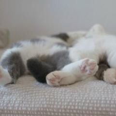 Мария Тарасова, 07.04, Краснодар