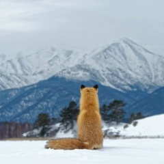 Фатима Танклаева, 10.11.1983, Владикавказ