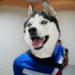 Айдар Керимов, 25.08.1992, Санкт-Петербург