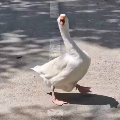 Иван Матросов, Москва