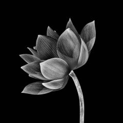 Александр Птицын, 26.06.1986, Ho Chi Minh City