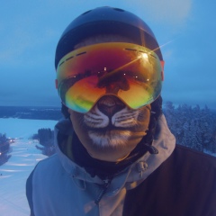 Василий Гордеев, 17.02.1988, Санкт-Петербург