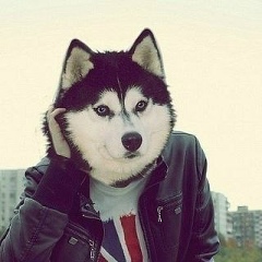 Serxan Mamedov, 01.07.1995, Гянджа