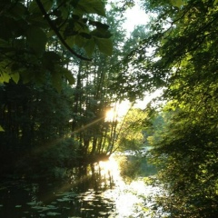 Дмитрий Токарев, 20.11.1986, Москва
