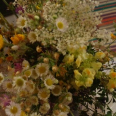 Елена Кононенко