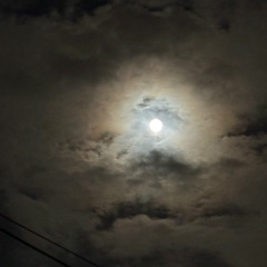 Igor Yezersky, 05.04.1987, Санкт-Петербург