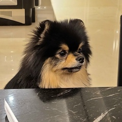 Aruzhan Kantayeva, 14.04, Актобе