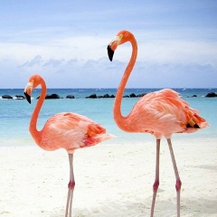 Маргарита Бомбина, 12.09