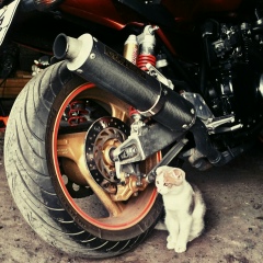 Григорий Хмелёв, 28.11, Екатеринбург