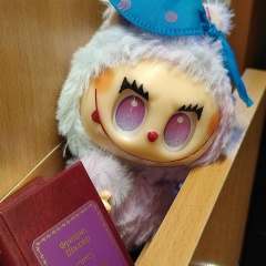 Бубочка Библиотечный-Эльф, Симферополь