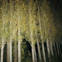 Алик Юсуфов, 06.09, Алматы