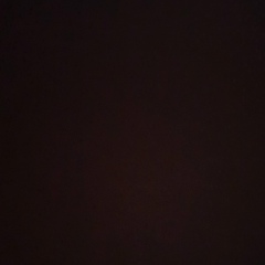 Дарья Недарьева, 01.09.1905, Москва