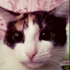 Anya Morozova, 06.06, Запорожье