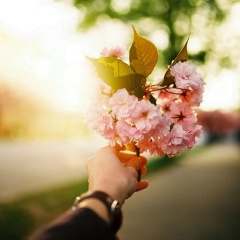 Камиля Халикулова, 03.08.1987, Алматы