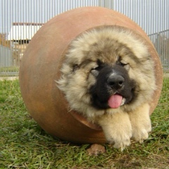 Анжелика Сахно, 25.02, Киев