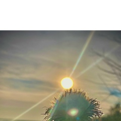 Сергей Зубков, 23.05.1979, Краснодар