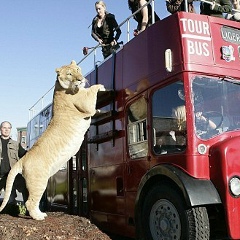 Рамазан Джахиев, 25.10.1996