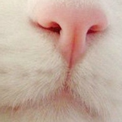 Сергей Похитайло, 15.08.1979, Москва