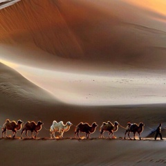 Денис Винницкий, 23.06, New York City