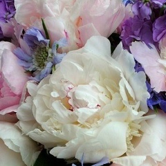 Алена Семенова, 02.01