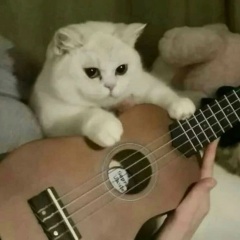 Артем Шитов, 03.11.2000, Москва