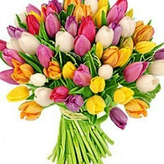 Gullzhemis Tatebaeva, 04.01.1984, Актобе