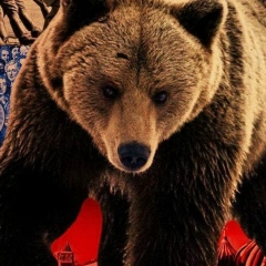 Дима Мишуткин, 29.05, Москва