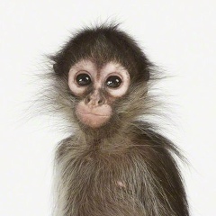 Ника Невская, 16.05.1977, Пятигорск