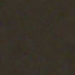 Екатерина Ласица, Санкт-Петербург