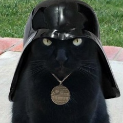 Андрей Юрлов, Санкт-Петербург