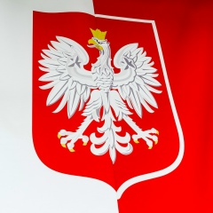 Дмитрий Грин, Москва