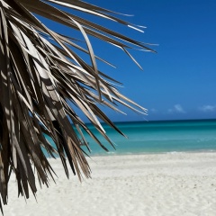 Кирилл Евгеньевич, 11.11, Москва