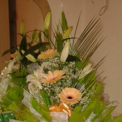 Любовь Жукова, 14.05.1983, Санкт-Петербург