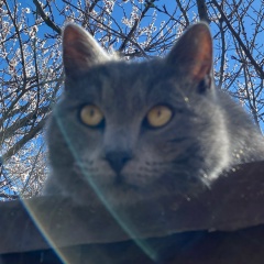 Елена Цыбина, 30.09, Ставрополь