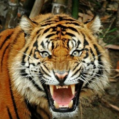 Виталий Гаврилов, 01.03, Чебоксары