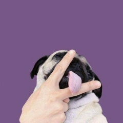 Костя Шадрин, Ташкент