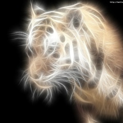 Захар Стадник, 02.09