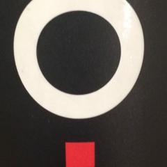 Людмила Яньшоле, 16.12, Новосибирск