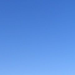 Иветта Урожаева, Санкт-Петербург