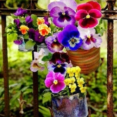 Светлана Бадмаева, Элиста