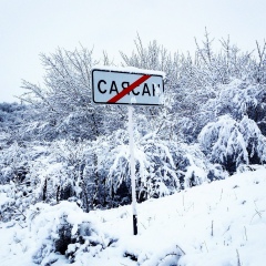 Зубайр Вараев, 06.01.1995, Грозный